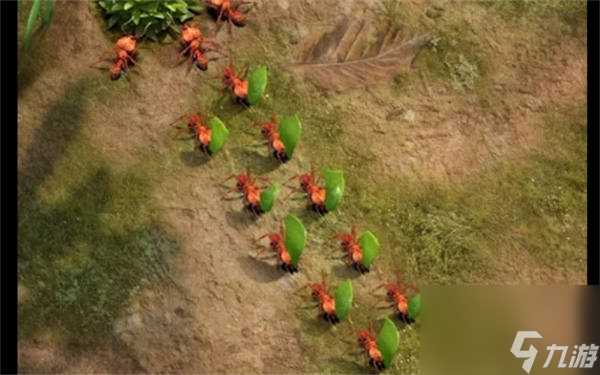 小小蚁国兵种搭配推荐 小小蚁国兵种怎么搭配