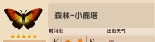 心动小镇太阳闪蝶捕捉玩法介绍