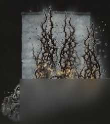 艾尔登法环拒绝的刺魔法获取方法介绍