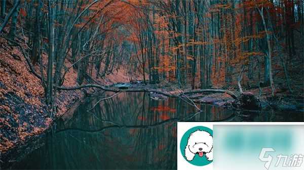 开会在桌子下反正他们看不见 隐秘行动的风险与建议