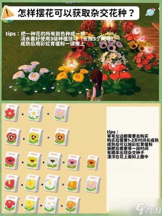 心动小镇种田进阶教学 快来成为小镇农学家