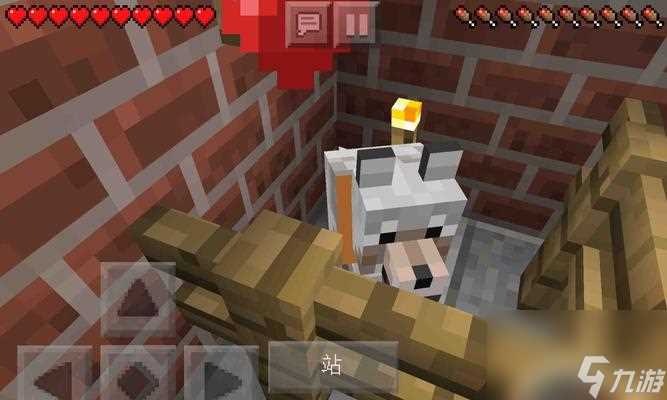 我的世界 尽享创造与探索的无限可能