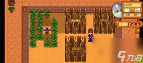 星露谷物语淡啤酒几天酿好 淡啤酒酿造方法推荐