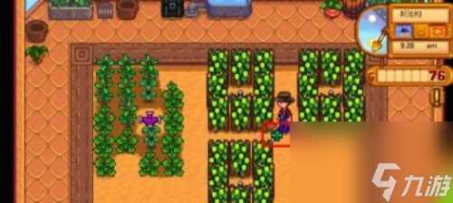 星露谷物语淡啤酒几天酿好 淡啤酒酿造方法推荐