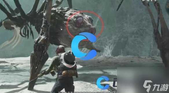 《七日世界》普通厄面蛛母打法推荐