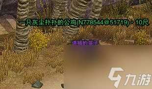 剑网3破晓鸣宠物奇遇介绍