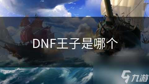 DNF王子是哪个