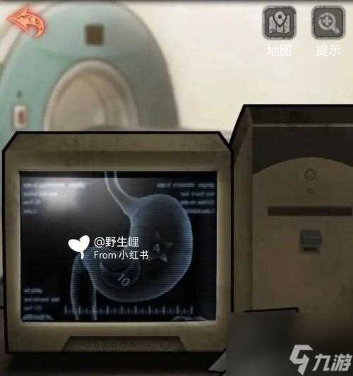 《探索十三号病院洗衣粉的神秘洗衣流程》 解锁游戏中最高级别的洗衣技能