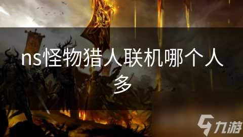 ns怪物猎人联机哪个人多