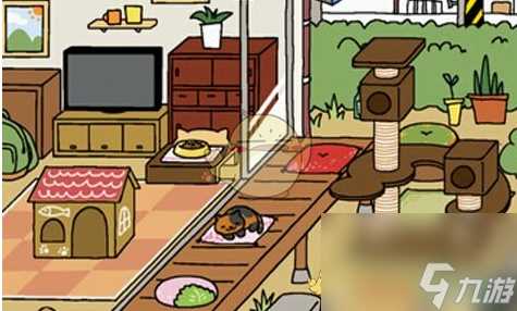 猫咪后院特殊猫喜欢什么道具特殊猫喜欢道具推荐