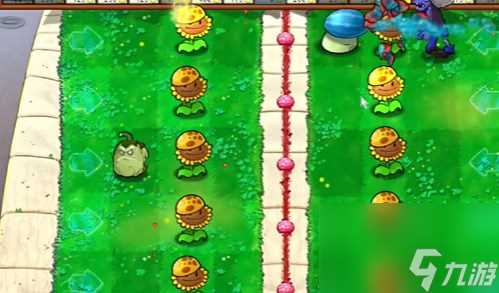 《PVZ杂交版》益智模式两面夹击通关图文攻略