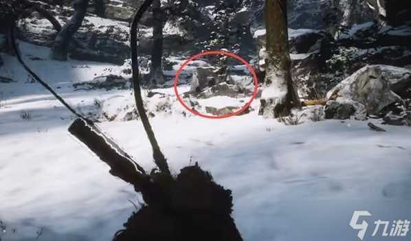 黑神话悟空龙胆种子在哪得 龙胆种子获取在哪里