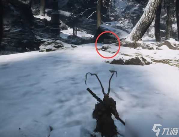 黑神话悟空龙胆种子在哪得 龙胆种子获取在哪里