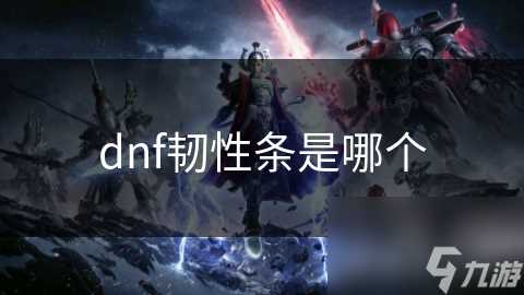 dnf韧性条是哪个