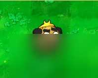 植物大战僵尸西游版植物图鉴 植物大战僵尸黑西游版植物介绍