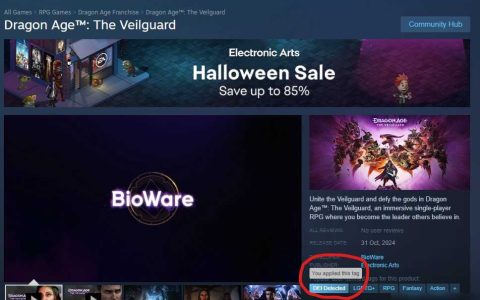 玩家想给《龙腾世纪 影障守护者》添加DEI、ZZZQ等标签
