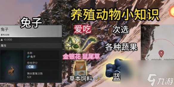 七日世界养殖动物推荐