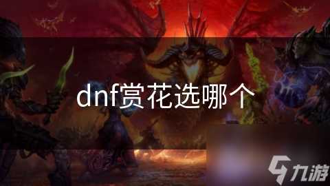 dnf赏花选哪个