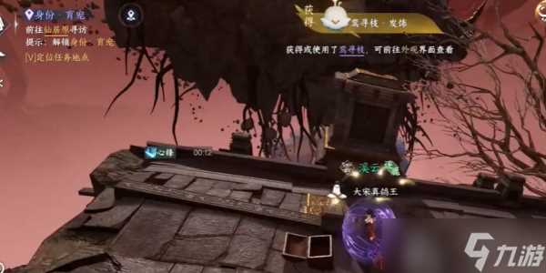 逆水寒手游发饰鸾寻枝怎么获取