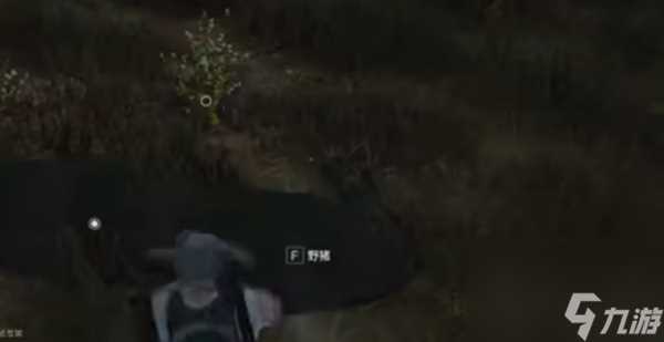 七日世界雪国人生动物在哪