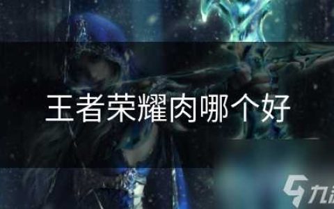 王者荣耀肉哪个好