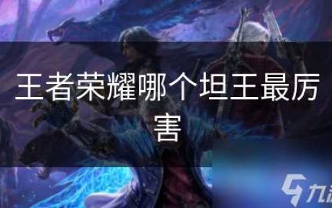 王者荣耀哪个坦王最厉害