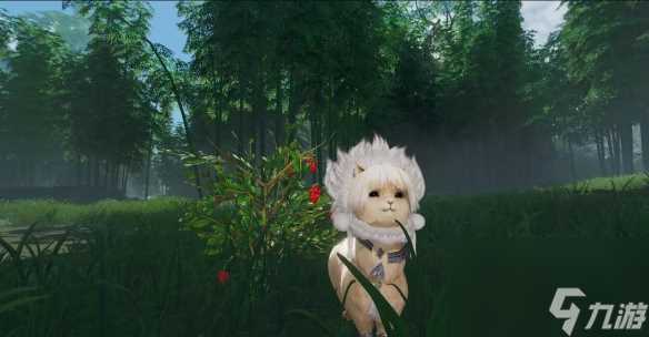 《剑网3》解心语宠物奇遇详细流程奖励介绍