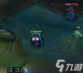lol惩戒不回血了 lol游戏途中突然不能用惩戒