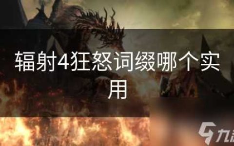 辐射4狂怒词缀哪个实用
