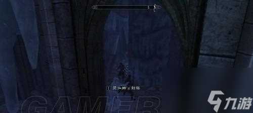 《以上古卷轴5黎明守卫》完美攻略 精通任务