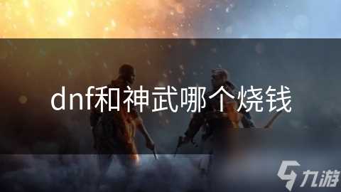 dnf和神武哪个烧钱