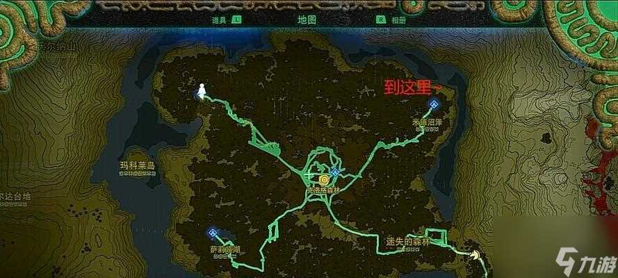 《怎么高效地使用森林地图》 掌握关键技巧