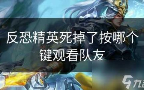 反恐精英死掉了按哪个键观看队友