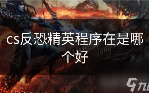 cs反恐精英程序在是哪个好