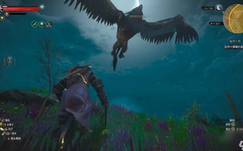 巫师3狮鹫学派寻宝任务攻略