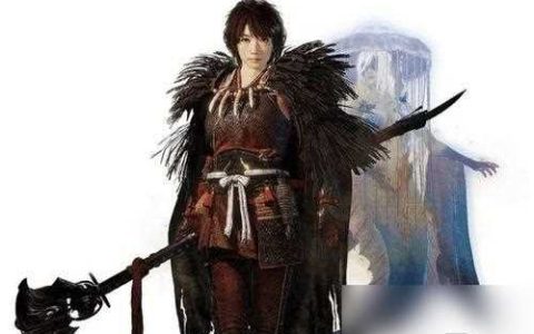 《以仁王2》藤吉郎图鉴介绍 揭秘最强忍者的技能与装备