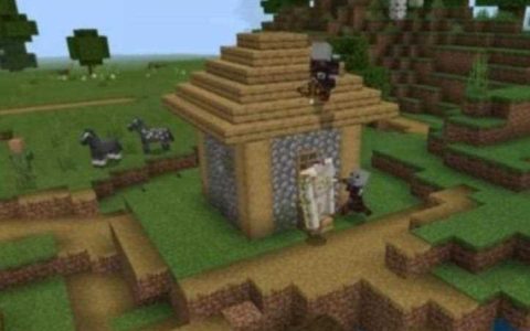 我的世界神奇种子 我的世界神奇种子