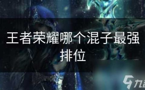 王者荣耀哪个混子最强排位