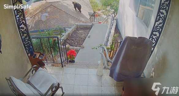 坏了这是真熊!外国玩家玩《星露谷》时遭遇棕熊串门