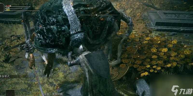 《掌握艾尔登法环流浪骑士的最强加点策略》 打造无敌战士